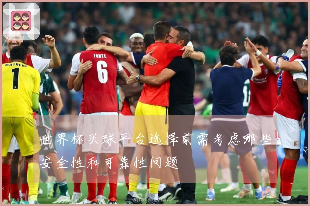 世界杯买球平台选择前需考虑哪些安全性和可靠性问题