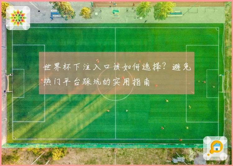 世界杯下注入口该如何选择？避免热门平台踩坑的实用指南