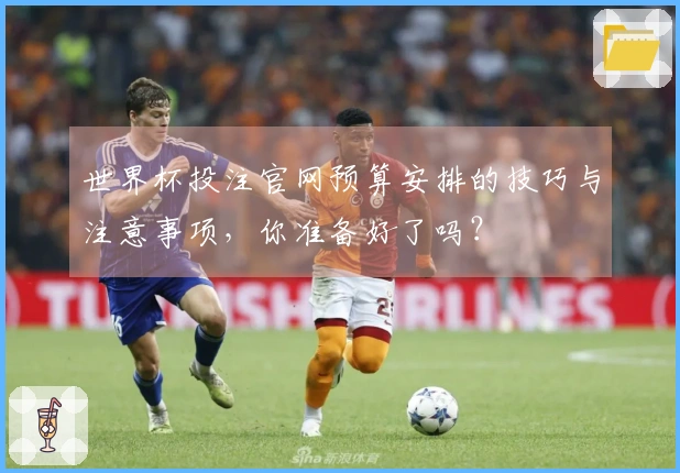 世界杯投注官网预算安排的技巧与注意事项，你准备好了吗？