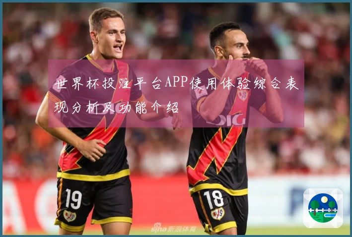 世界杯投注平台APP使用体验综合表现分析及功能介绍