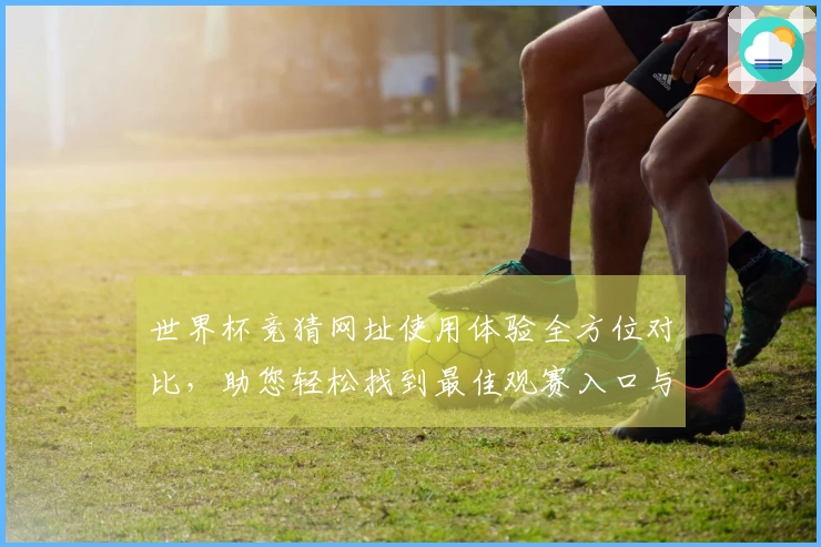 世界杯竞猜网址使用体验全方位对比，助您轻松找到最佳观赛入口与功能。