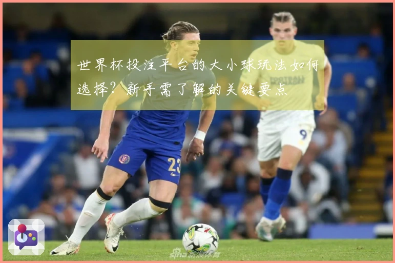 世界杯投注平台的大小球玩法如何选择？新手需了解的关键要点