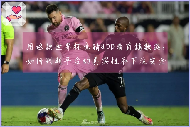 用这款世界杯竞猜app看直播数据，如何判断平台的真实性和下注安全性