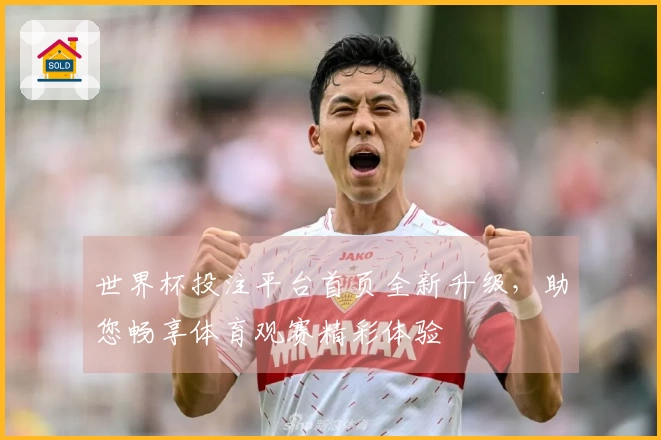 世界杯投注平台首页全新升级，助您畅享体育观赛精彩体验