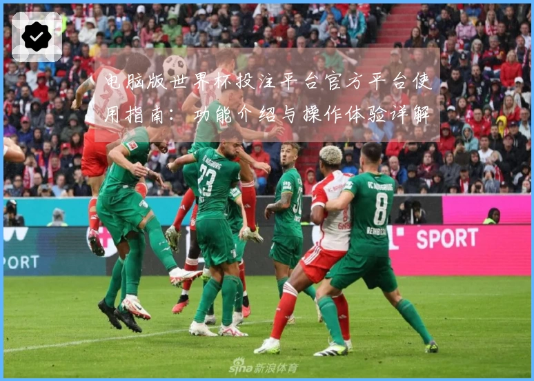 电脑版世界杯投注平台官方平台使用指南：功能介绍与操作体验详解
