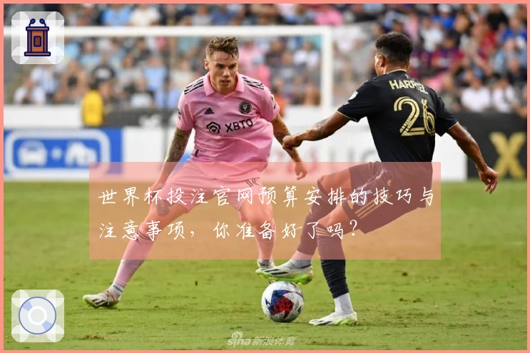 世界杯投注官网预算安排的技巧与注意事项，你准备好了吗？