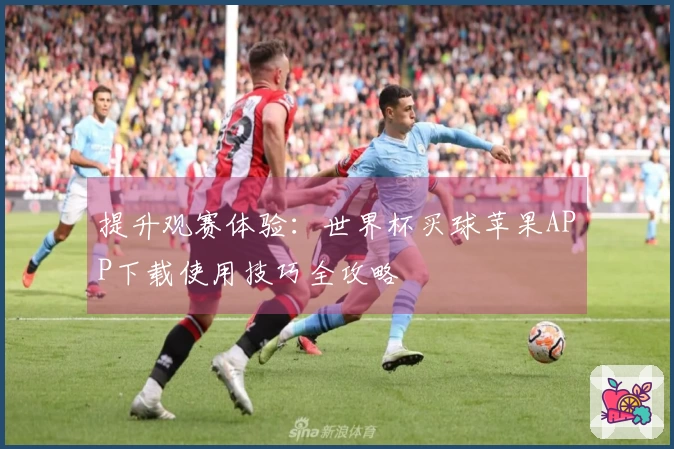 提升观赛体验：世界杯买球苹果APP下载使用技巧全攻略