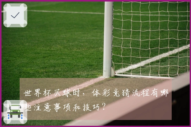 世界杯买球时,体彩竞猜流程有哪些注意事项和技巧?