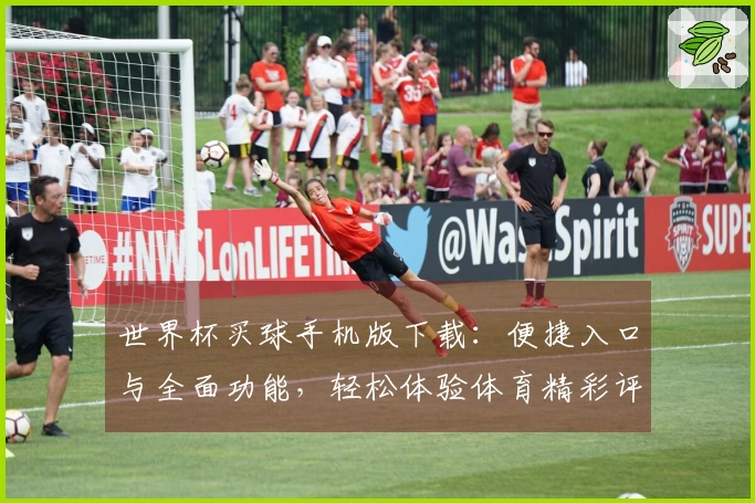 世界杯买球手机版下载:便捷入口与全面功能,轻松体验体育精彩评测